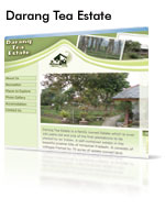 Website Design Darang Tea Estate
